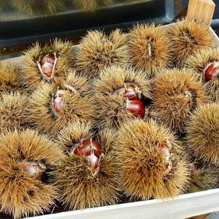 You might be wondering what these spiky things are, at a first glance they look like sea urchins but in fact they are Chestnuts! You will start to see dishes pop up in most Tuscan restaurants featuring chestnuts, the most famous of all is the cake Castagnaccio. Enjoy! 
#italiannights #florence #italy